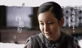 《白鹿原》电视剧,历史变迁下的家族传奇