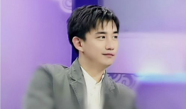 黄磊演过的电视剧,电视剧作品回顾